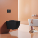 Унитаз Cerutti  OGLIO Aria MB CT9239