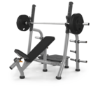 Силовая скамья Matrix  MAGNUM A79