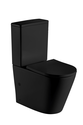 Унитаз WELTWASSER  SALZBACH 001 MT-BL 