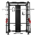 Машина Смитта DFC  POWERGYM D822