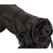 Зрительная труба Levenhuk Blaze 60 PLUS