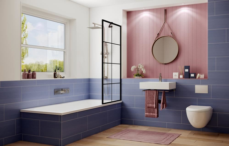 Душевое ограждение Ambassador  Bath Screens 16041208 