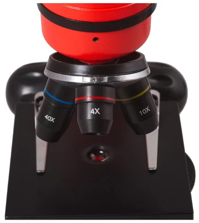 Микроскоп Levenhuk Rainbow 2L Orange\Апельсин