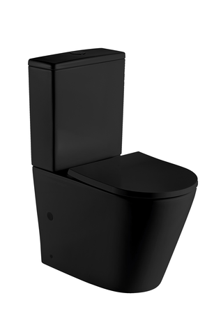 Унитаз WELTWASSER  SALZBACH 001 MT-BL 