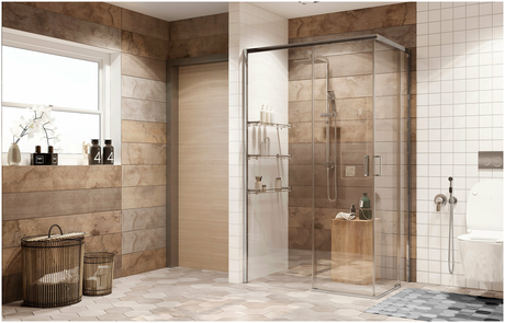Душевое ограждение Ambassador Queen 11011106L 120x80